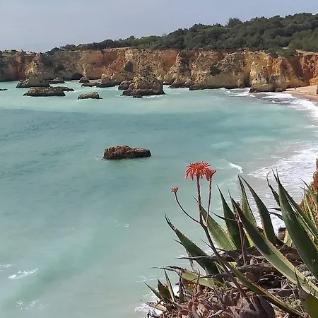 Mar Paisagem 公寓